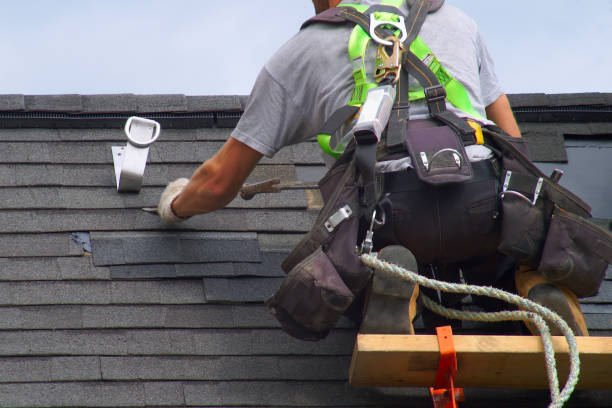 Best Gutter Installation and Repair  in Postville, IA