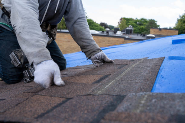 Best Metal Roofing Installation  in Postville, IA